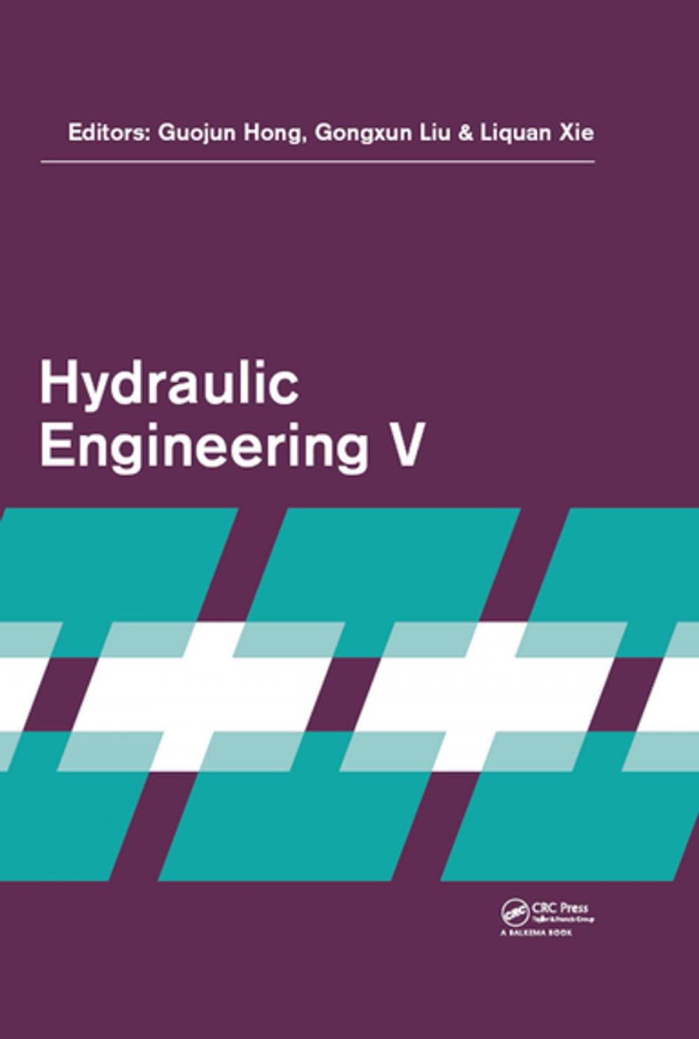 Big bigCover of Hydraulic Engineering V