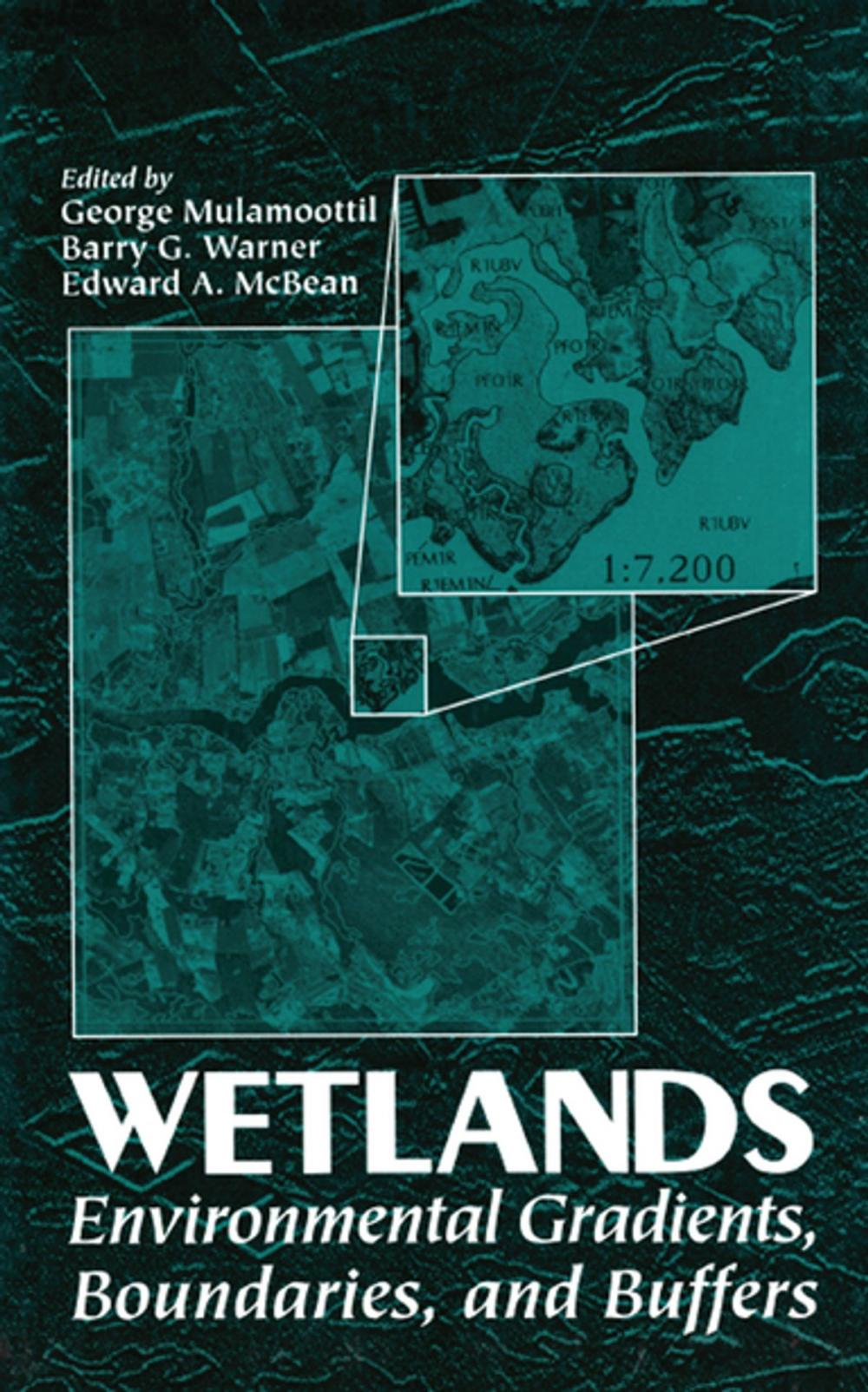 Big bigCover of Wetlands