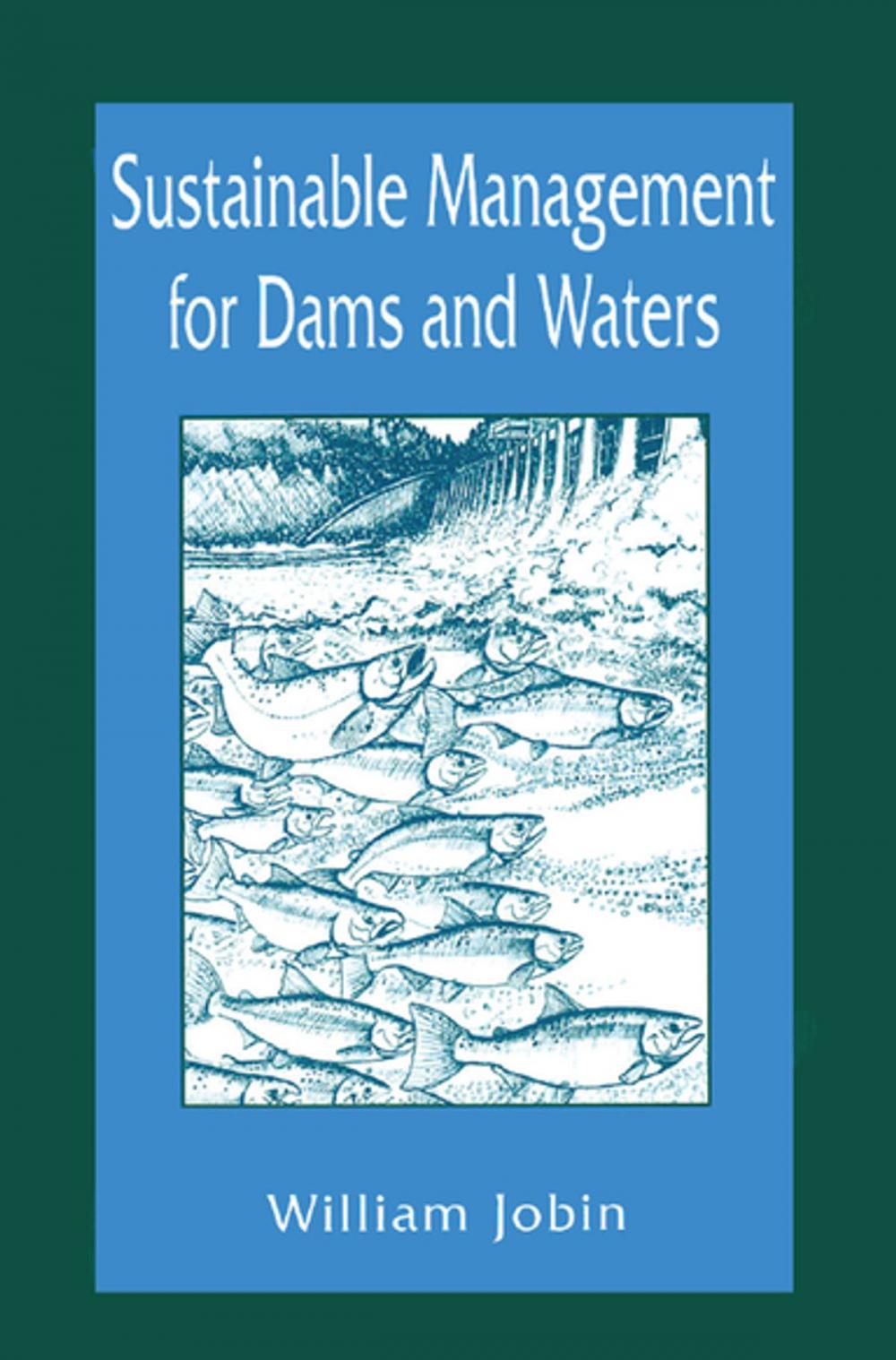 Big bigCover of Sustainable Management for Dams and Waters
