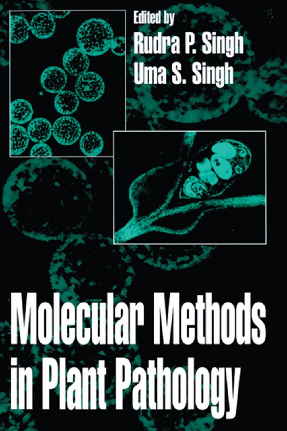 Big bigCover of Molecular Methods in Plant Pathology