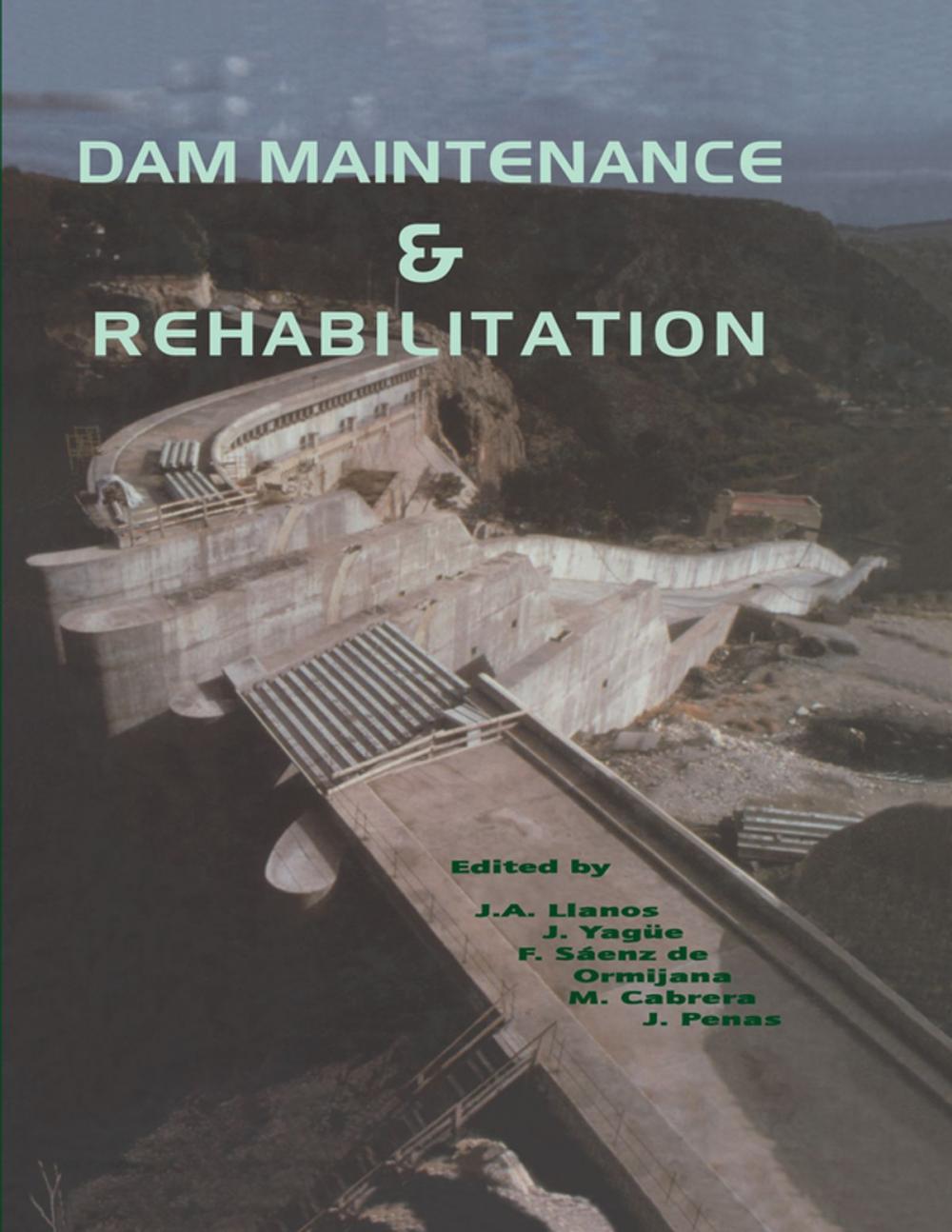 Big bigCover of Dam Maintenance and Rehabilitation