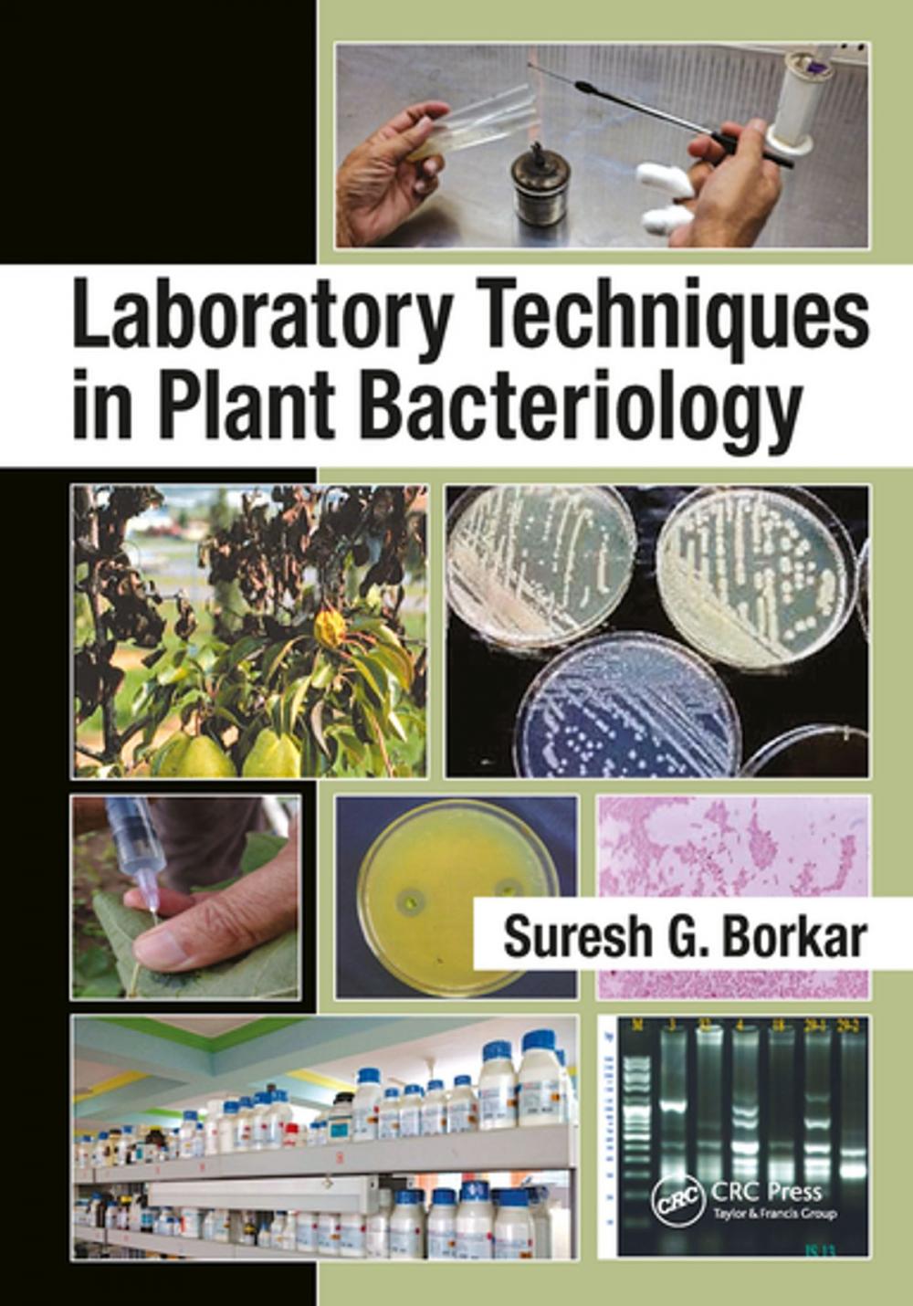 Big bigCover of Laboratory Techniques in Plant Bacteriology