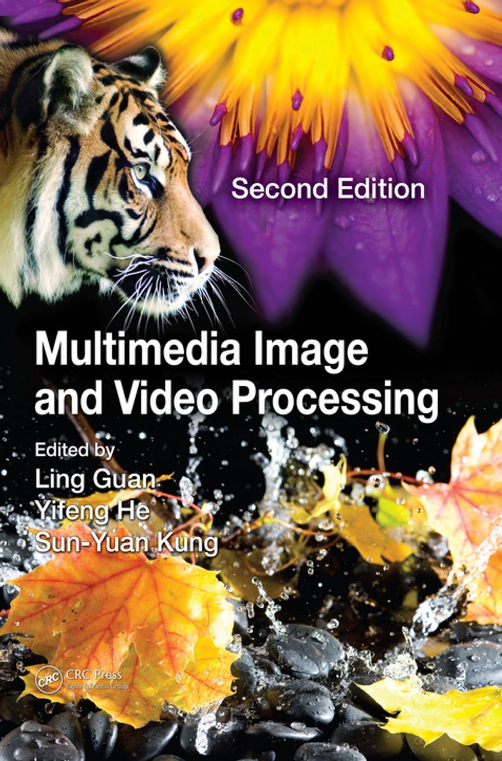 Big bigCover of Multimedia Image and Video Processing