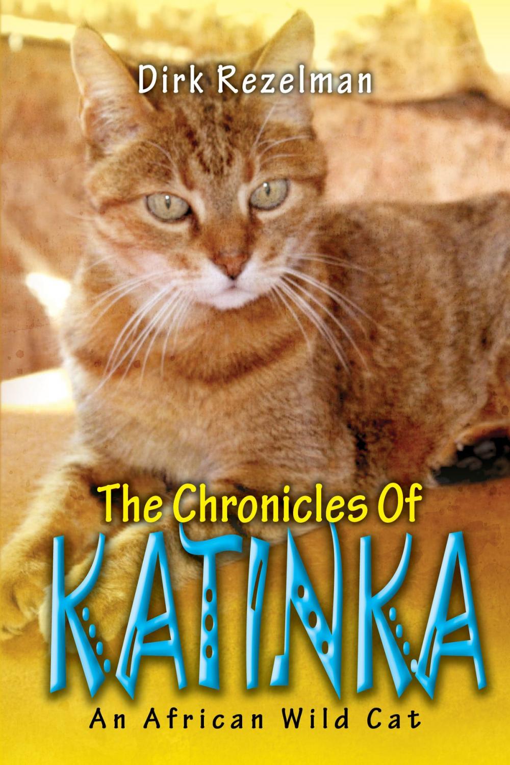 Big bigCover of The Chronicles of Katinka