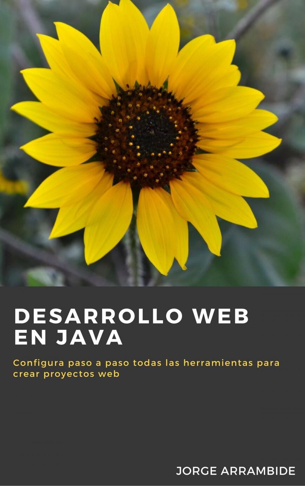 Big bigCover of Desarrollo Web en Java