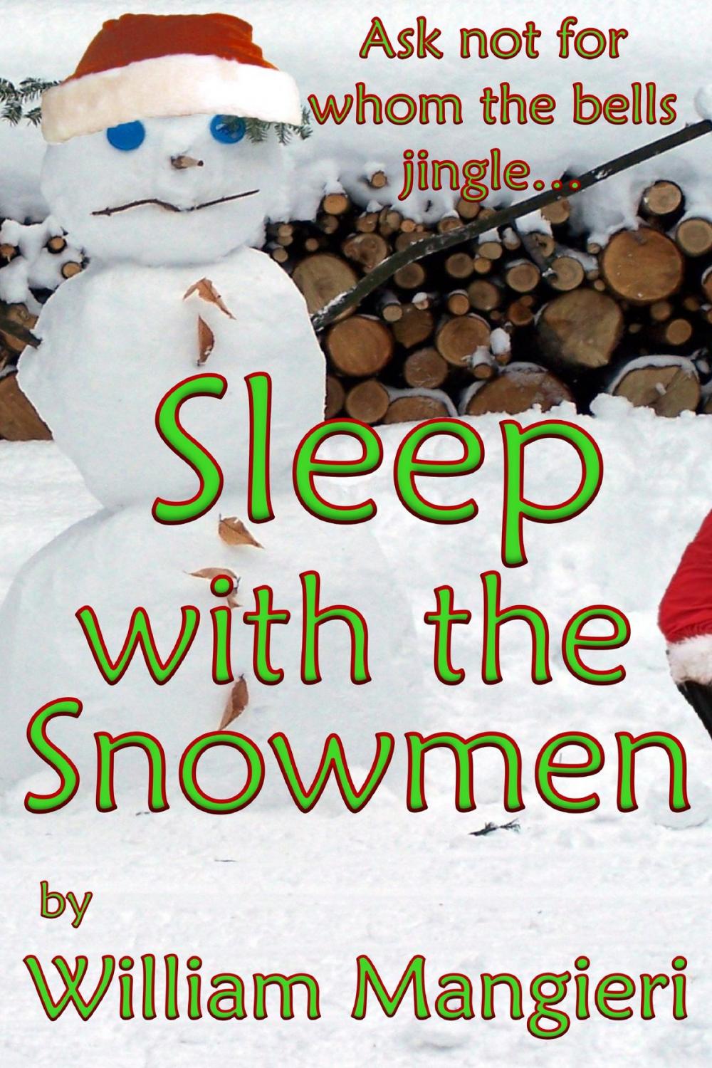 Big bigCover of Sleep with the Snowmen