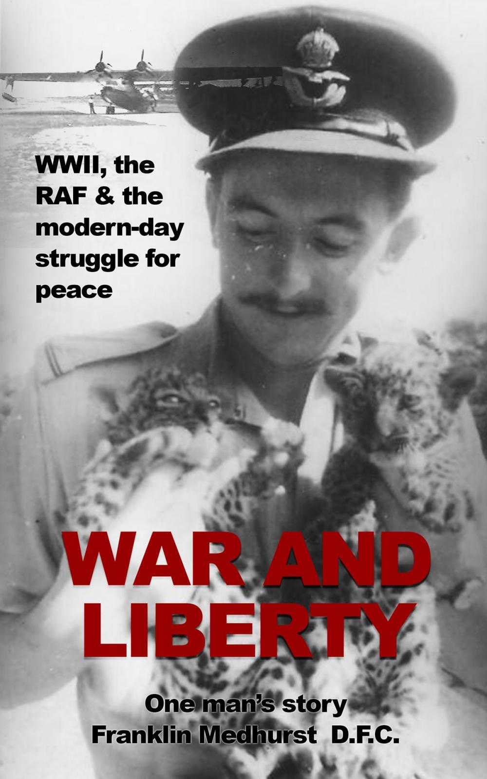 Big bigCover of War and Liberty: One man's story