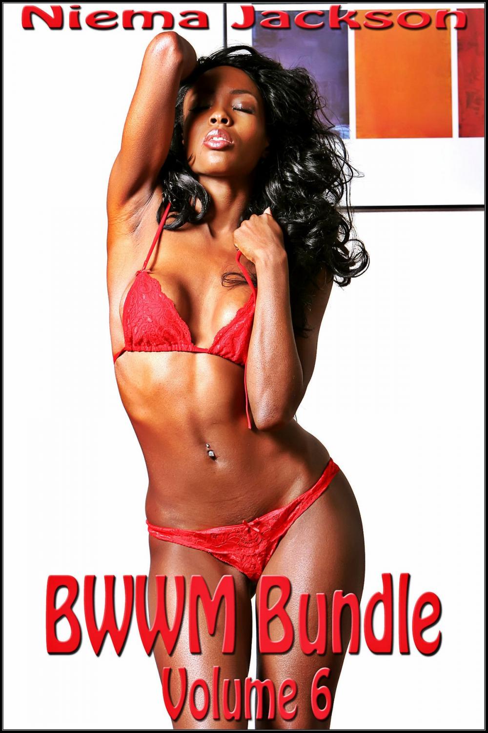 Big bigCover of BWWM Bundle - Volume 6 (Interracial Romance BWWM)