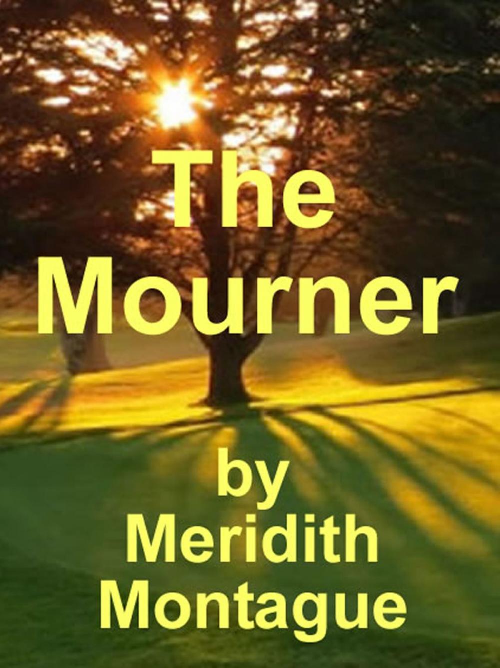 Big bigCover of The Mourner: By Meridith Montague