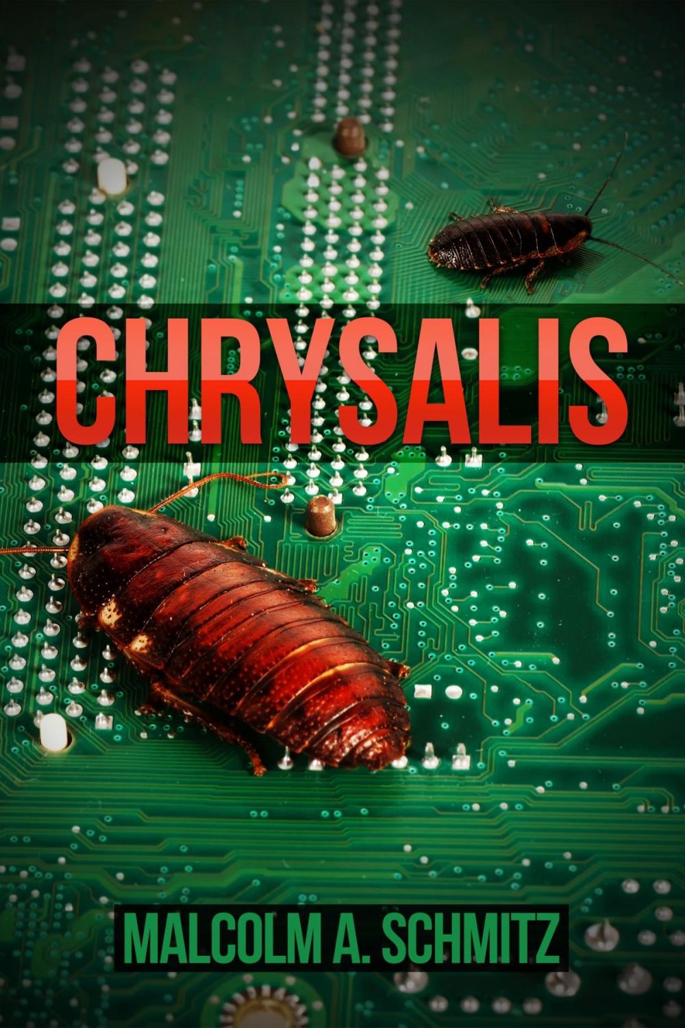 Big bigCover of Chrysalis