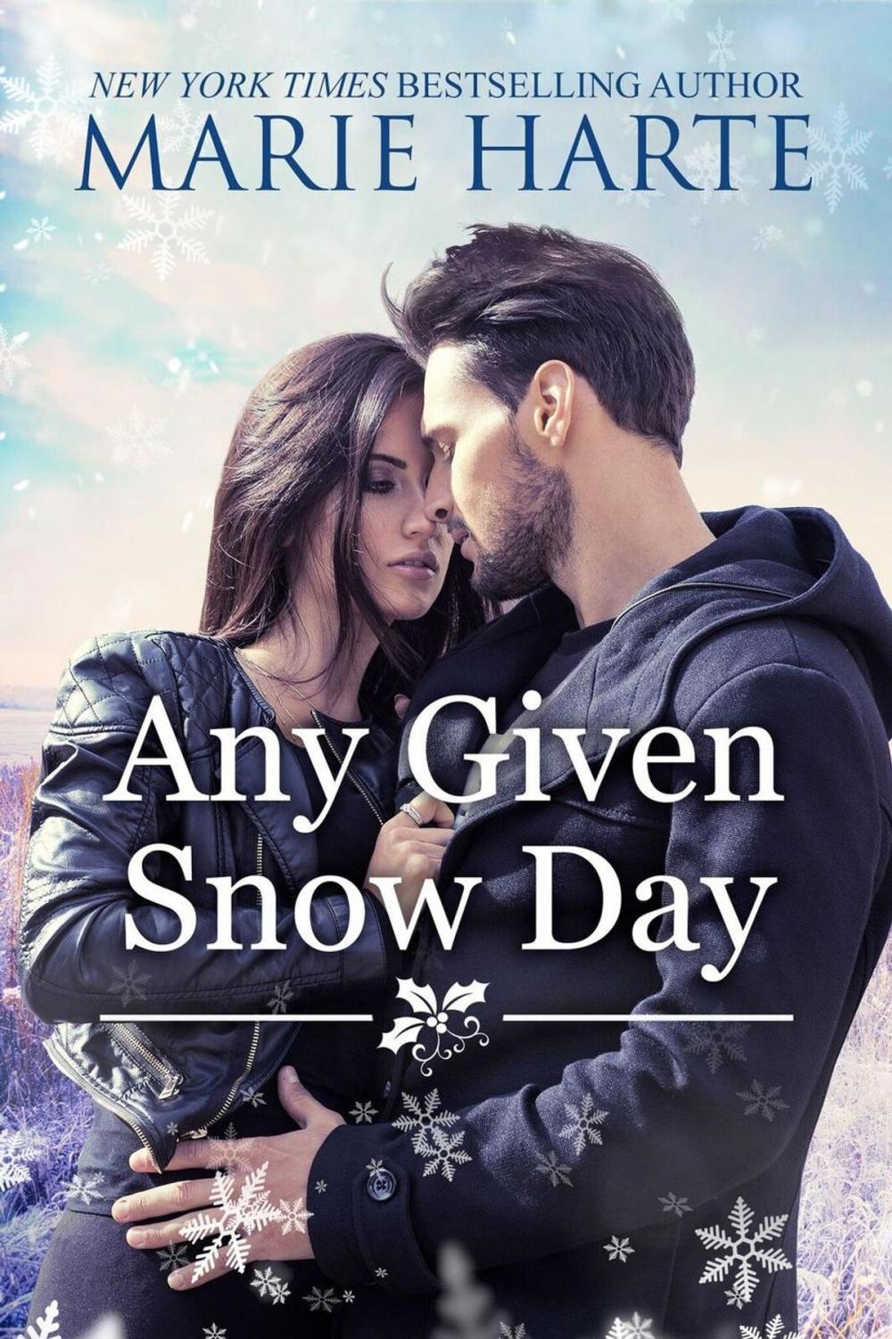 Big bigCover of Any Given Snow Day