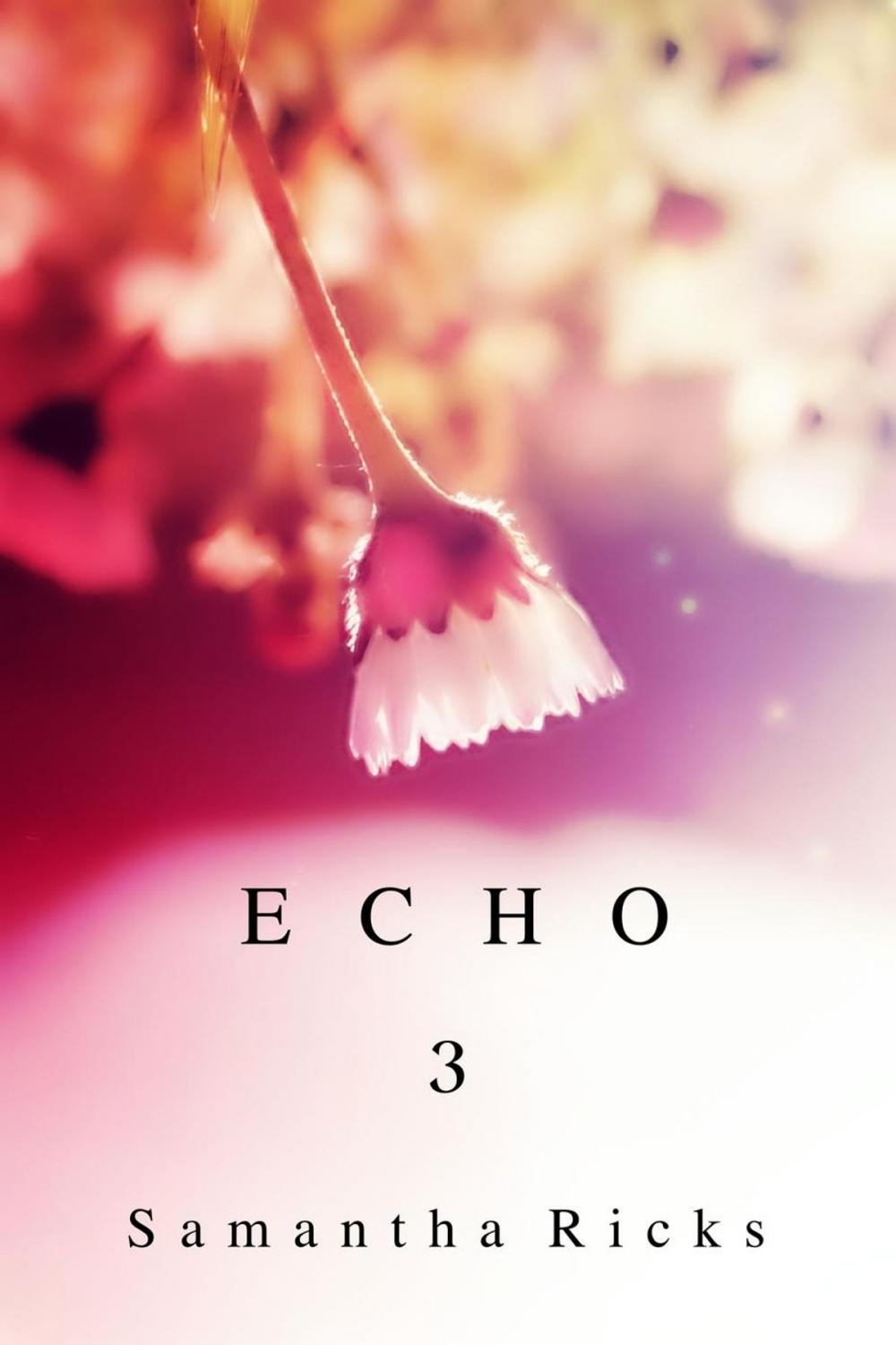 Big bigCover of Echo