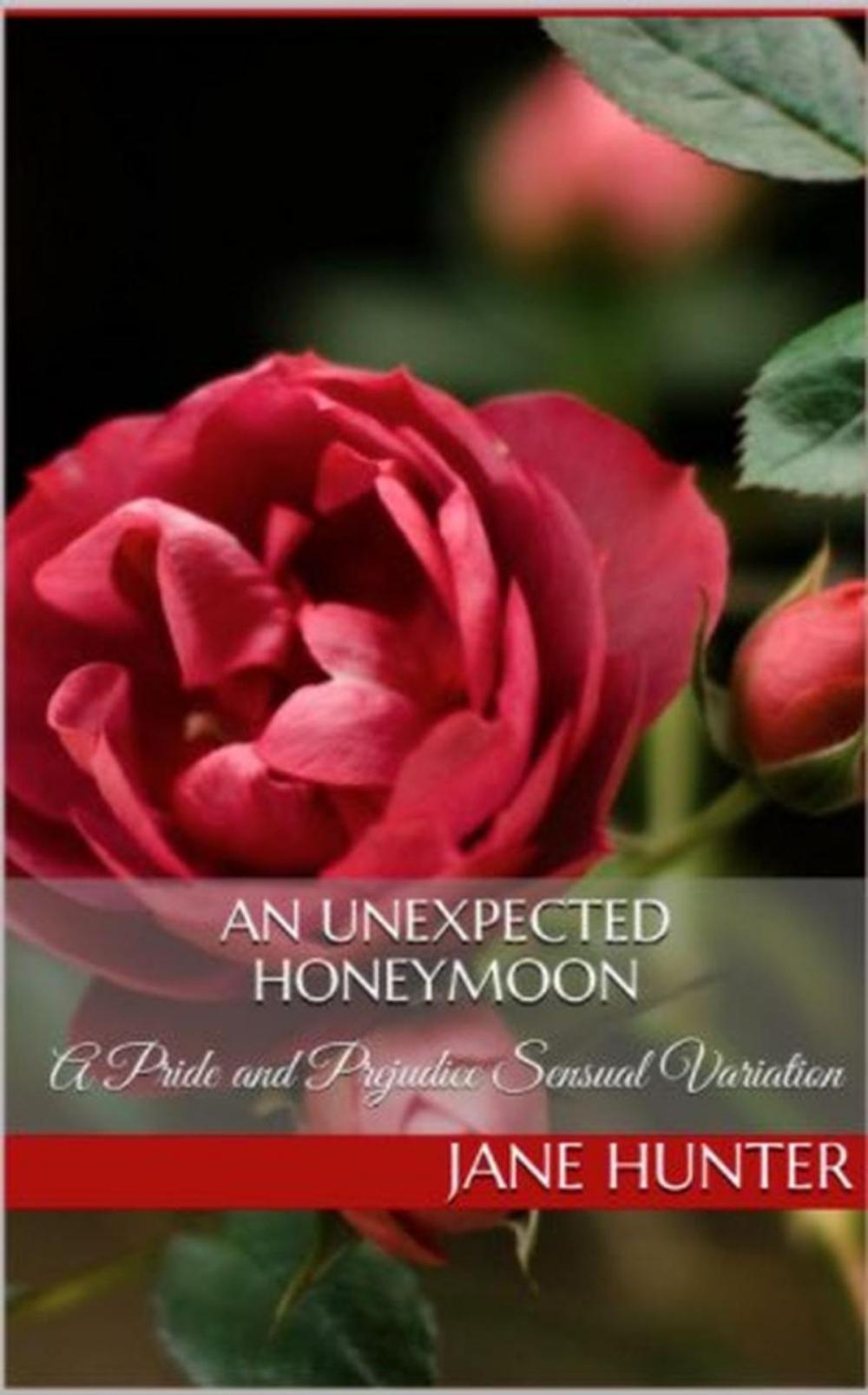 Big bigCover of An Unexpected Honeymoon: A Pride and Prejudice Sensual Intimate