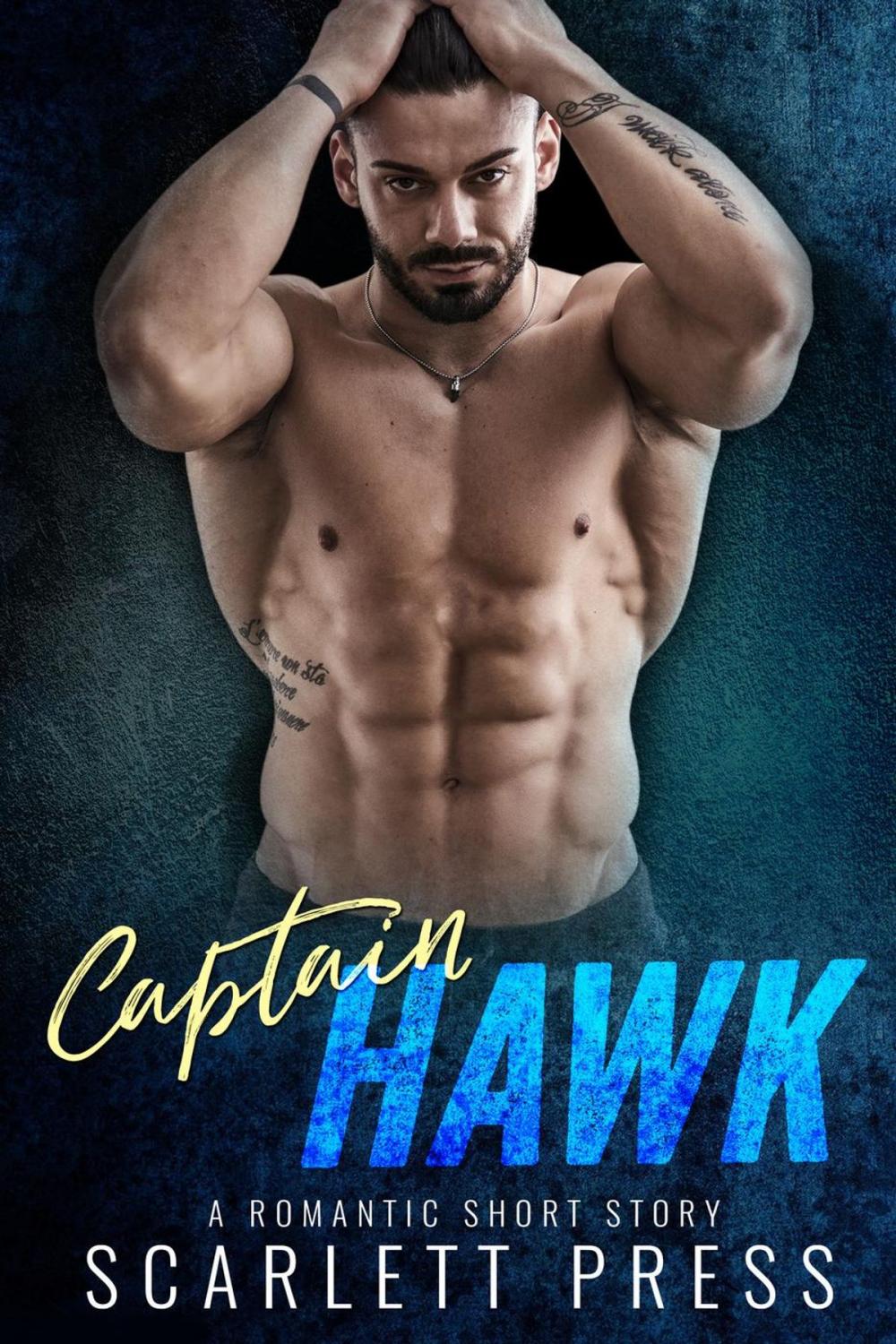 Big bigCover of Captain Hawk