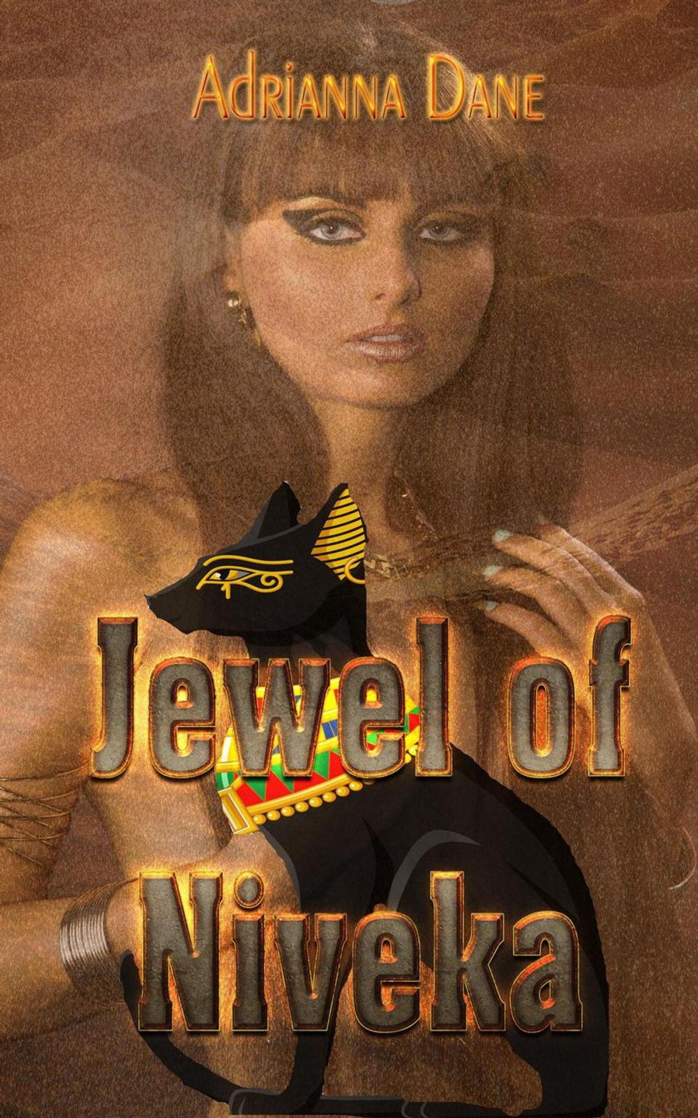 Big bigCover of Jewel of Niveka