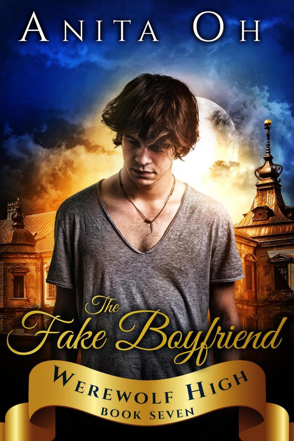 Big bigCover of The Fake Boyfriend