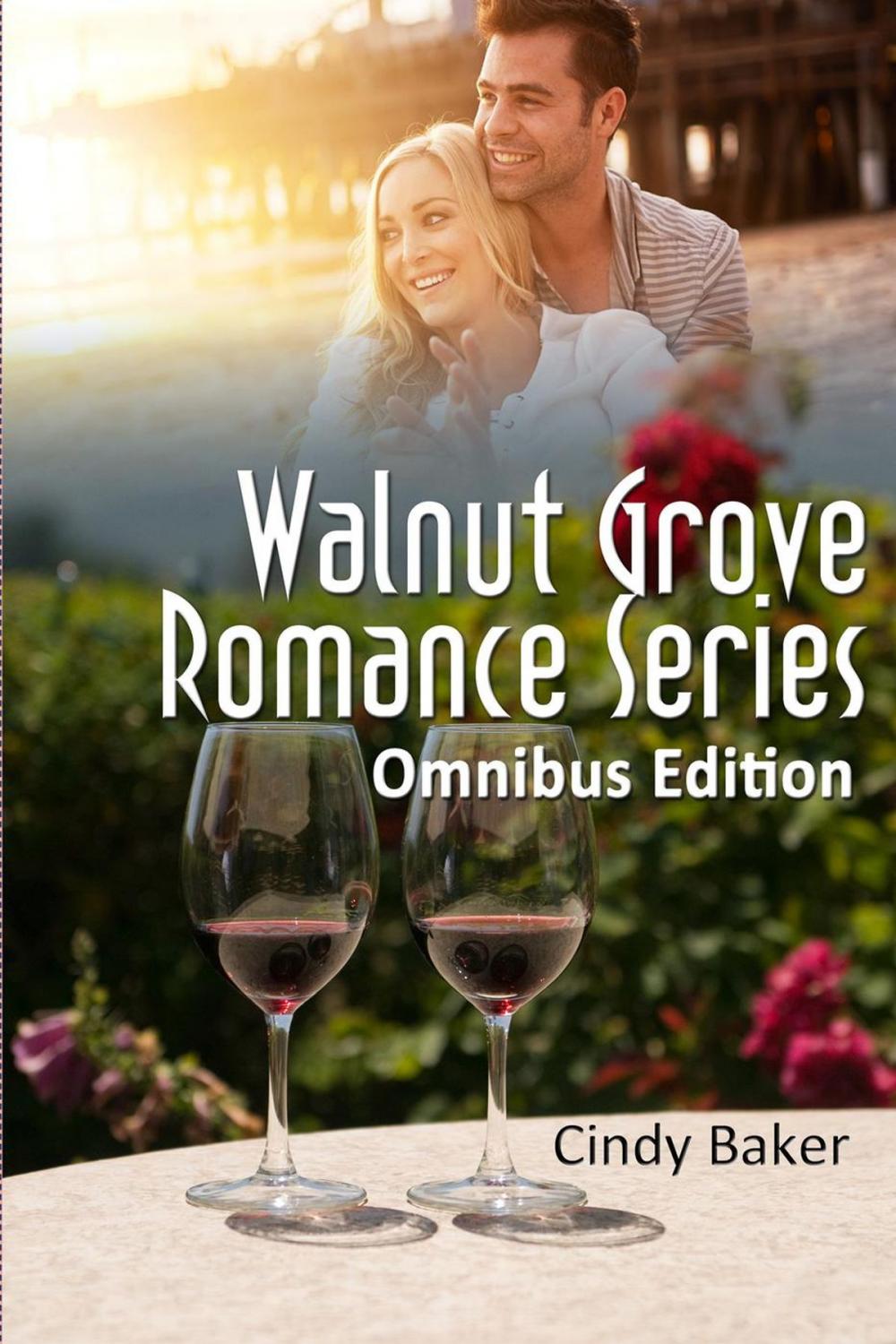 Big bigCover of THE WALNUT GROVE ROMANCE SERIES BOXED SET