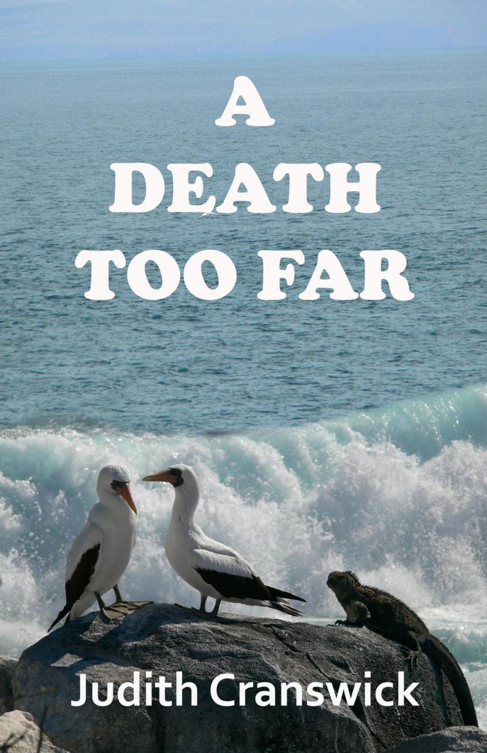 Big bigCover of A Death too Far