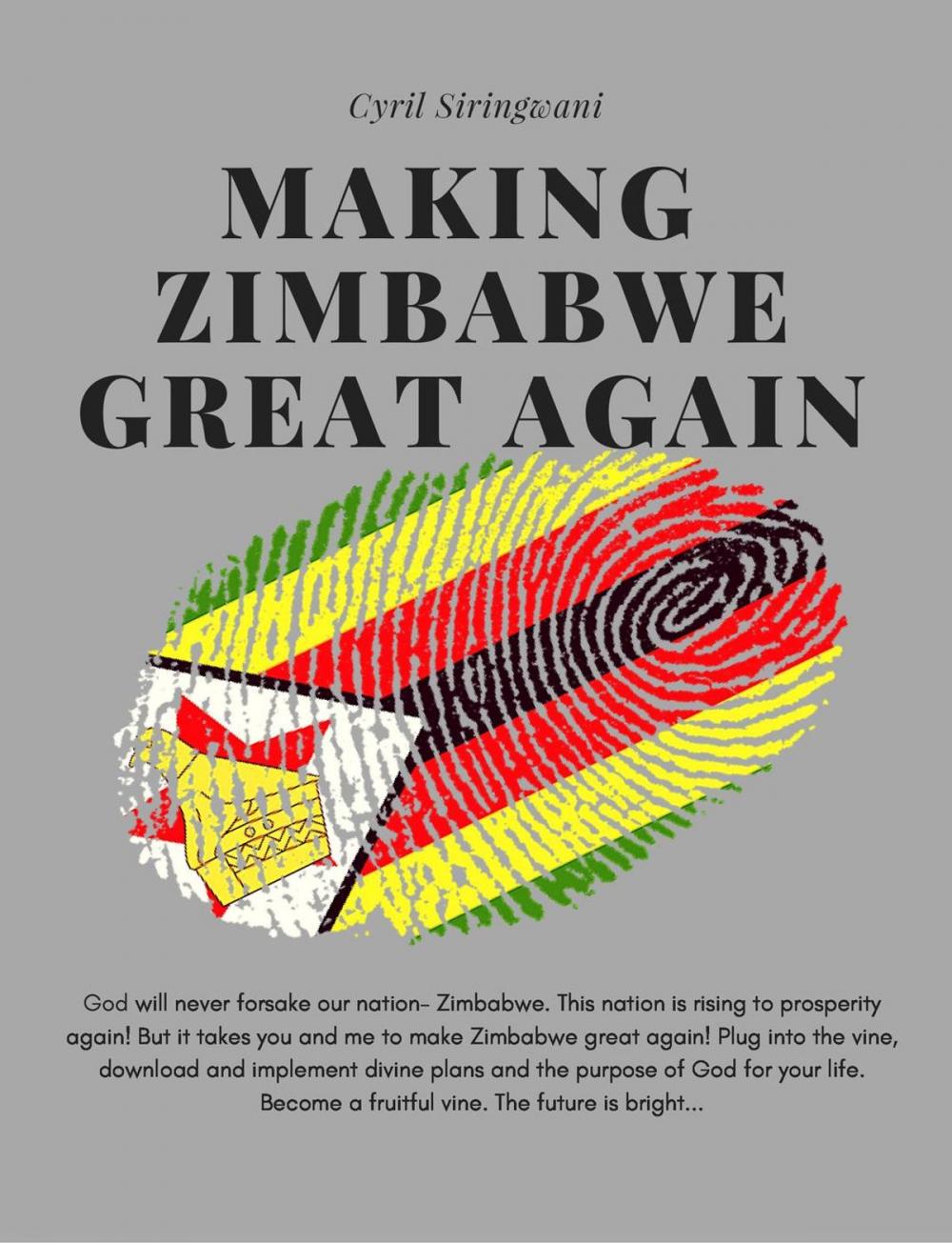 Big bigCover of Making Zimbabwe Great Again