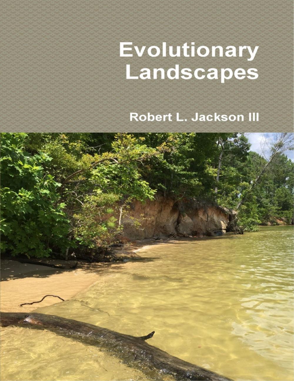 Big bigCover of Evolutionary Landscapes