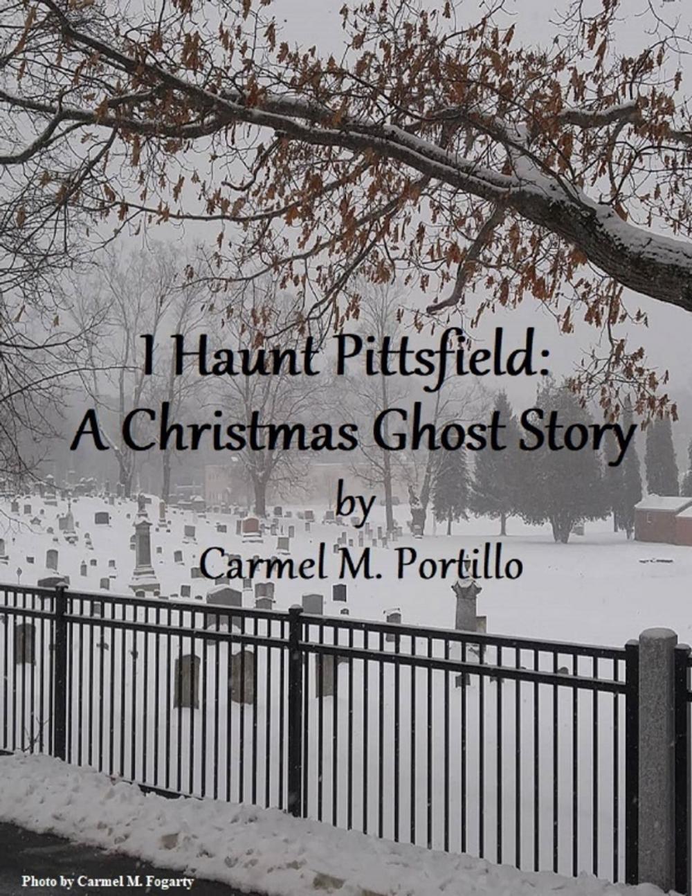 Big bigCover of I Haunt Pittsfield: A Christmas Ghost Story