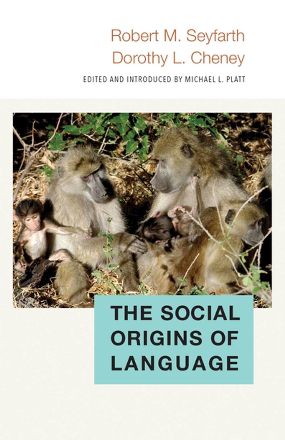 Big bigCover of The Social Origins of Language