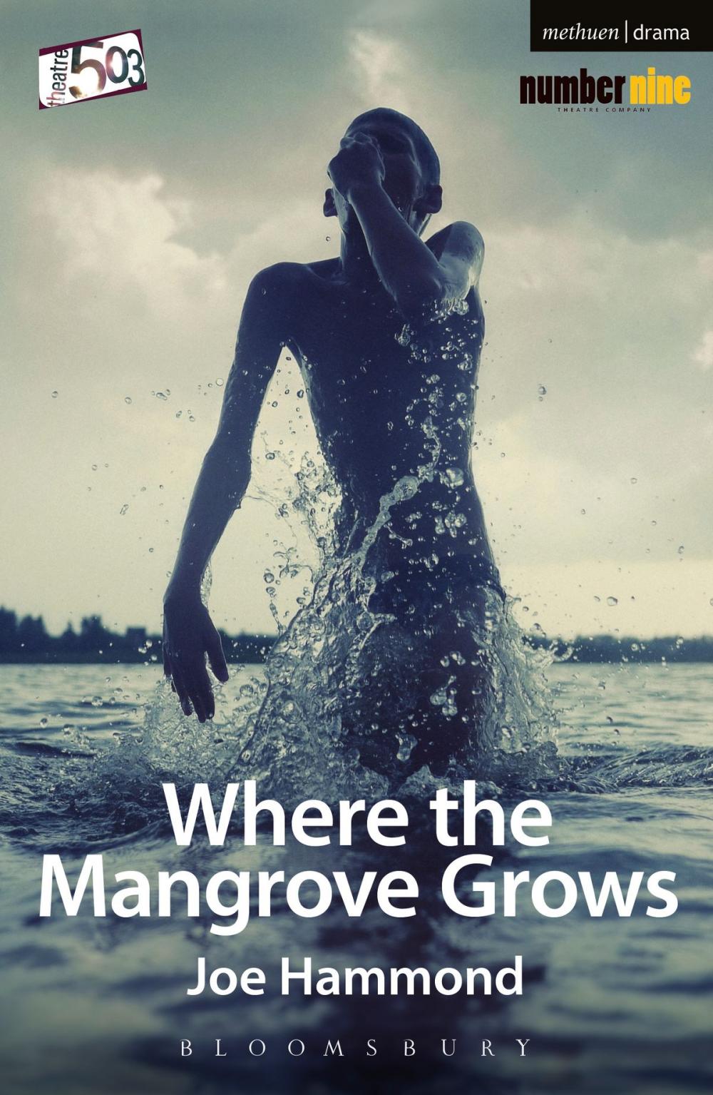 Big bigCover of Where the Mangrove Grows