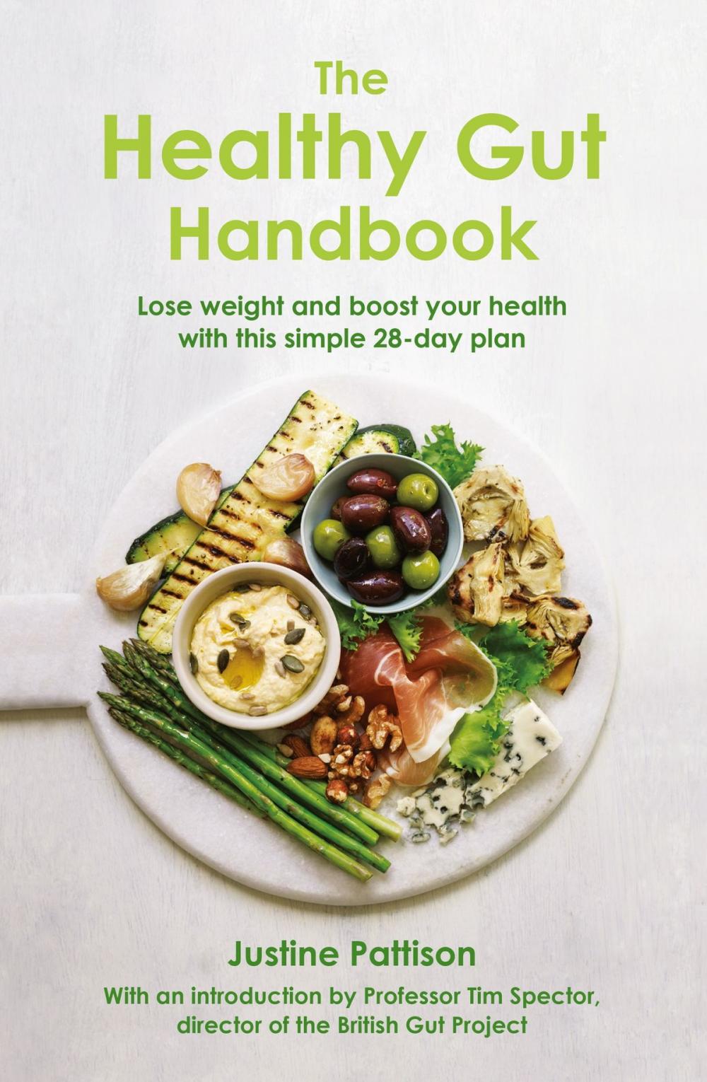 Big bigCover of The Healthy Gut Handbook