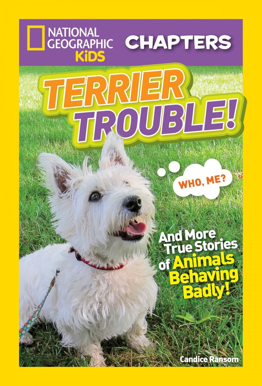 Big bigCover of National Geographic Kids Chapters: Terrier Trouble!