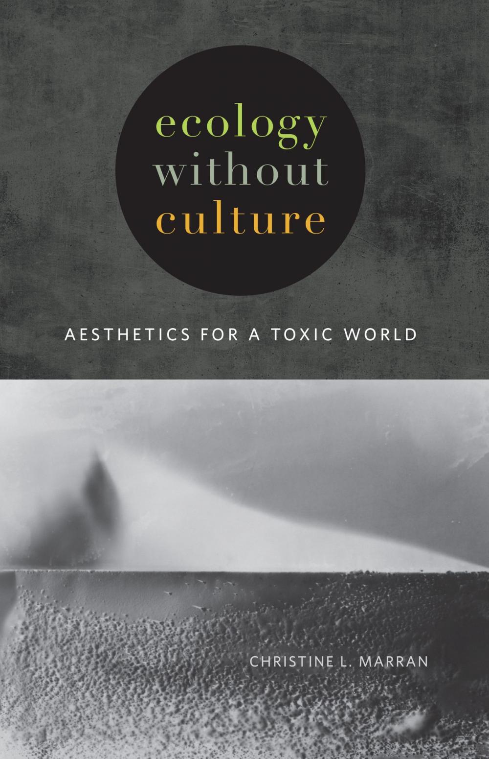 Big bigCover of Ecology without Culture