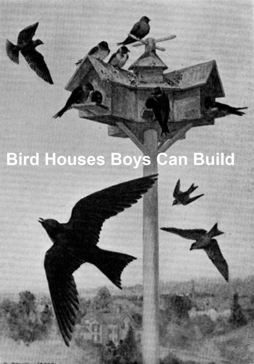 Big bigCover of Bird Houses Boys Can Build, Illustrated