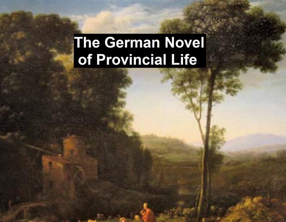 Big bigCover of The German Novel of Provincial Life: Auerbach, Gotthelf, Reuter, Stifter, and Riehl
