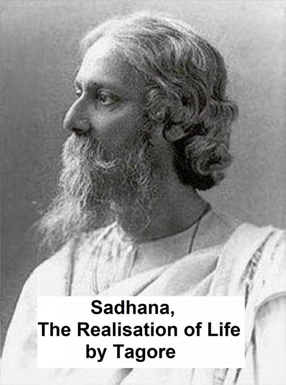 Big bigCover of Sadhana: the Realisation of Life