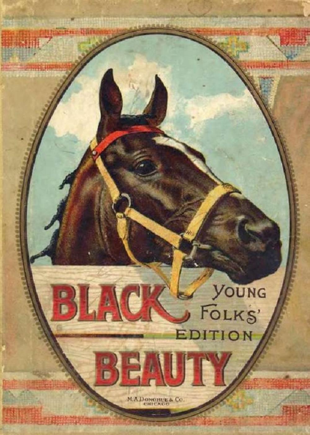 Big bigCover of Black Beauty: Autobiography of a Horse, Illustrated