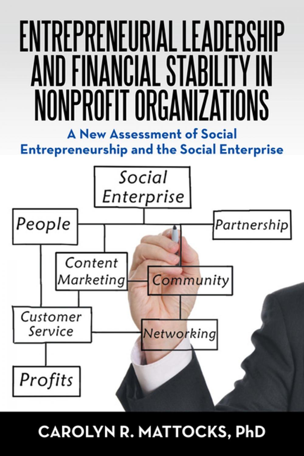 Big bigCover of Entrepreneurial Leadership and Financial Stability in Nonprofit Organizations