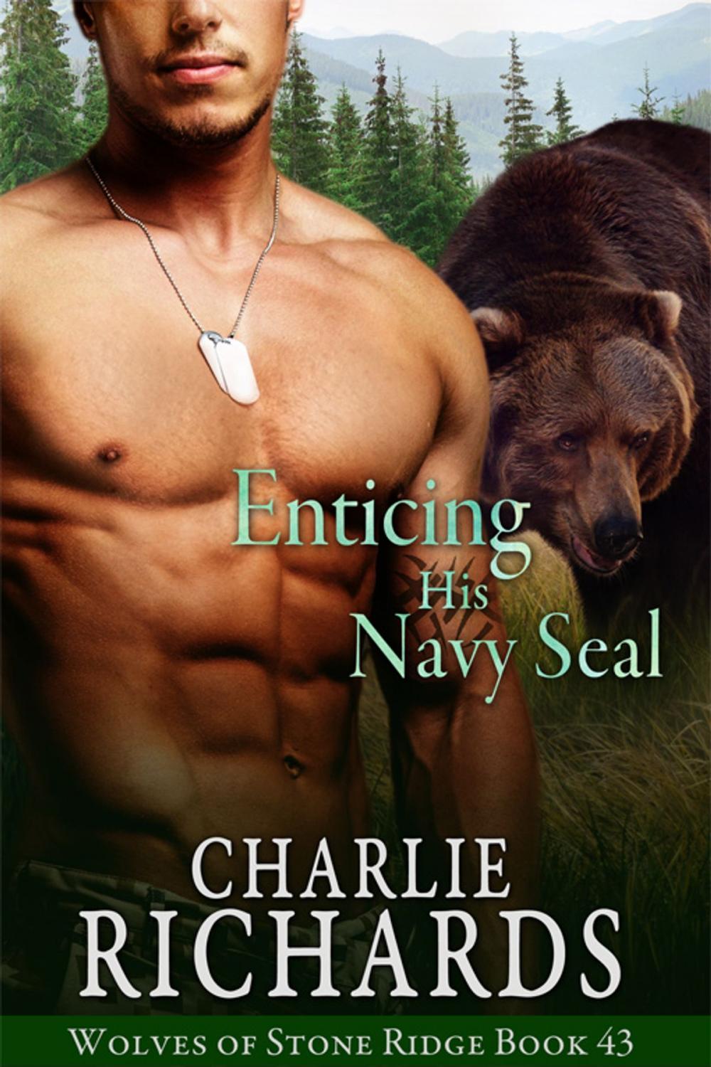 Big bigCover of Enticing his Navy Seal