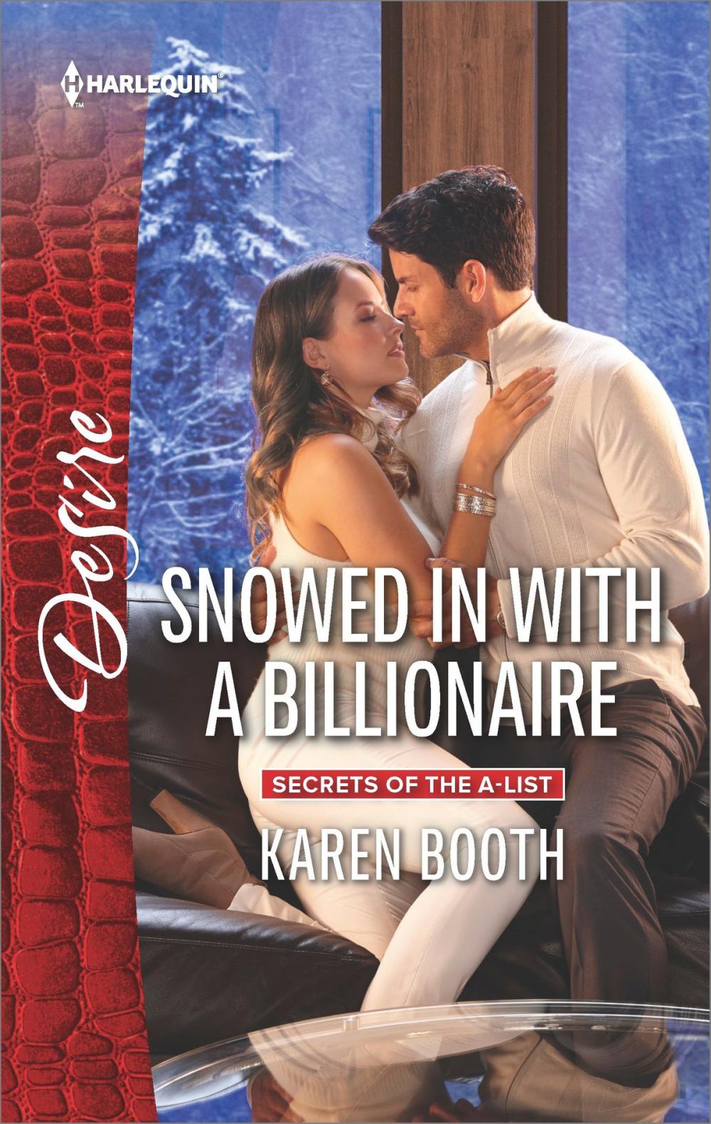 Big bigCover of Snowed in with a Billionaire