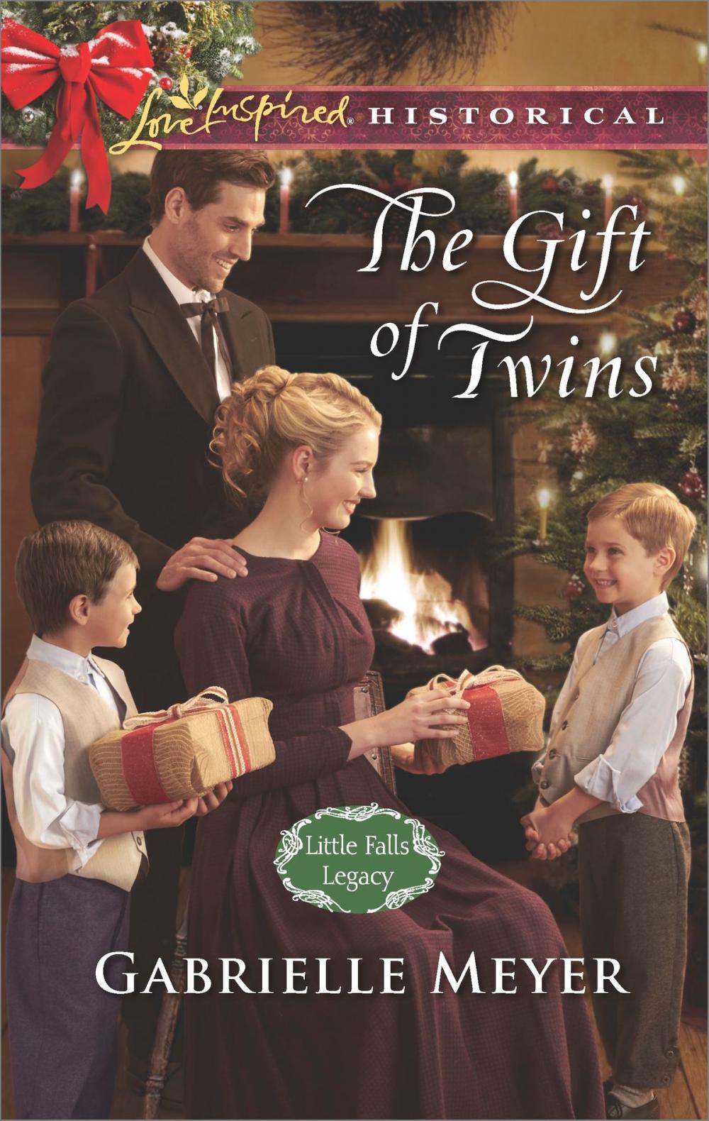 Big bigCover of The Gift of Twins