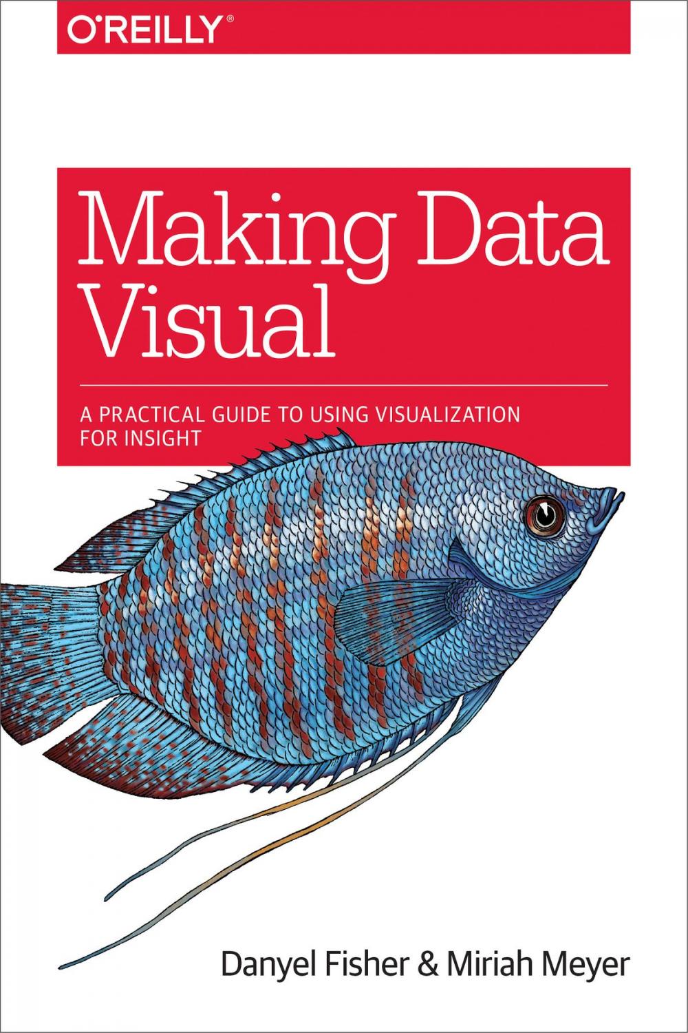 Big bigCover of Making Data Visual