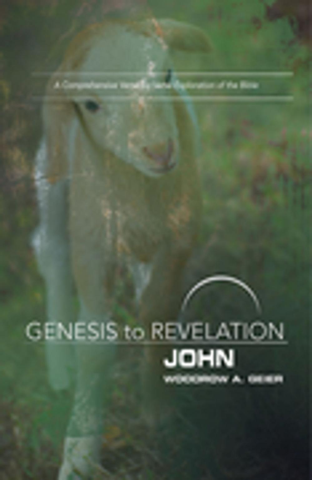 Big bigCover of Genesis to Revelation: John Participant Book [Large Print]