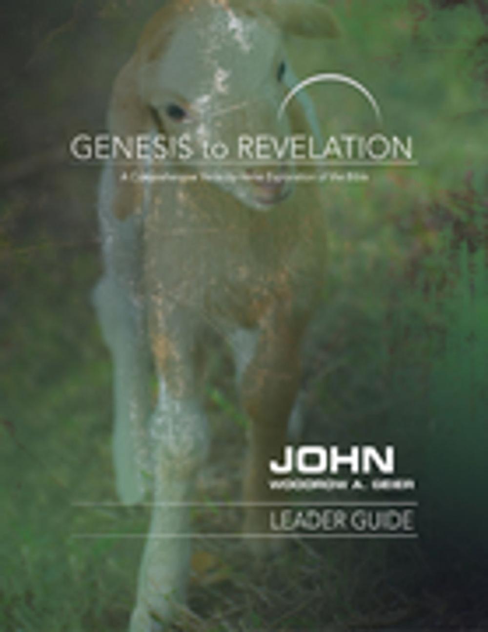 Big bigCover of Genesis to Revelation: John Leader Guide