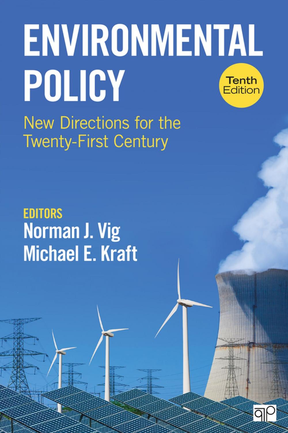 Big bigCover of Environmental Policy