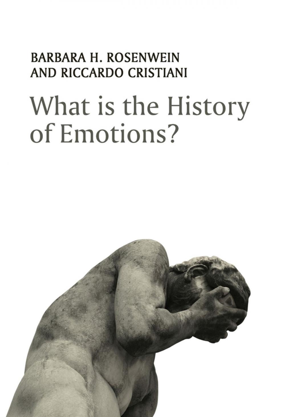 Big bigCover of What is the History of Emotions?