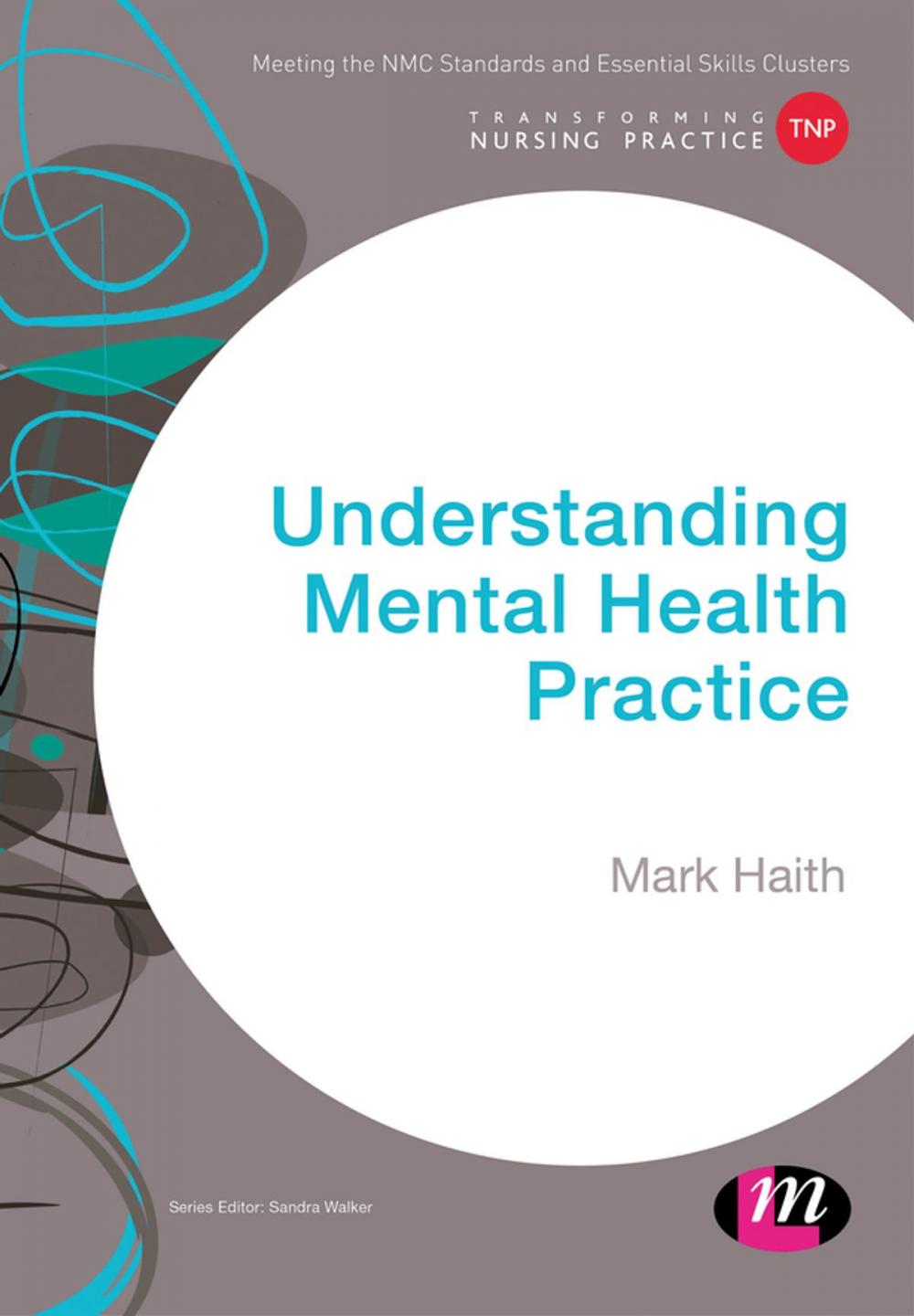 Big bigCover of Understanding Mental Health Practice