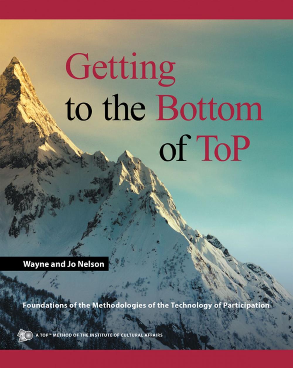 Big bigCover of Getting to the Bottom of Top