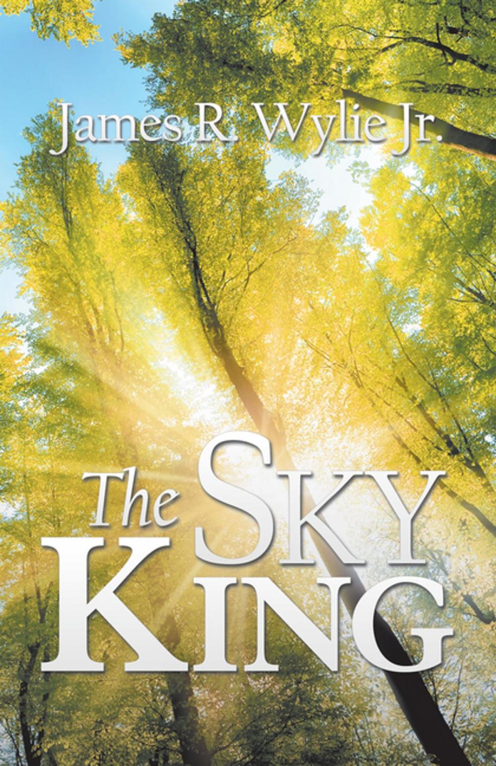 Big bigCover of The Sky King