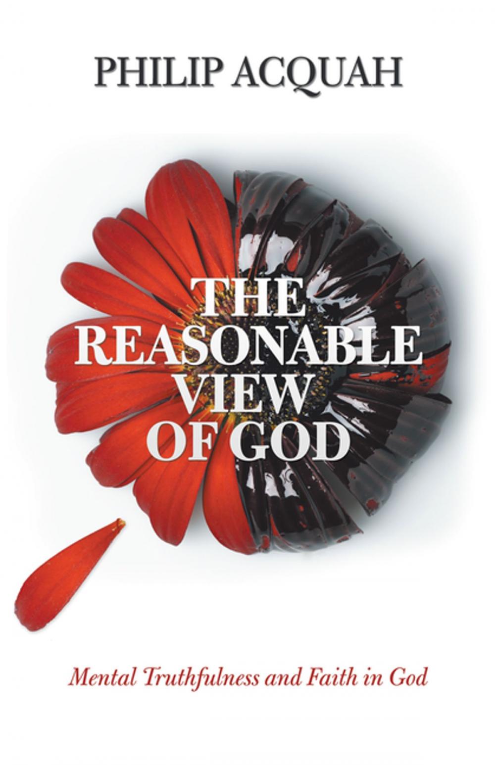 Big bigCover of The Reasonable View of God