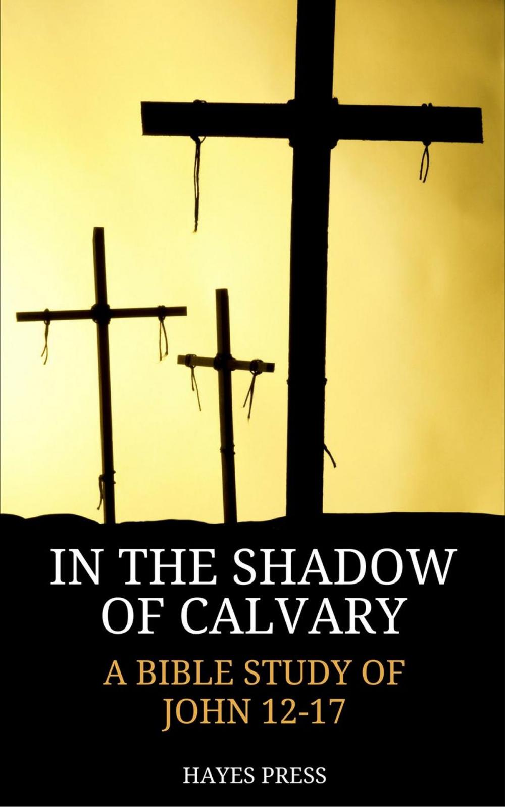 Big bigCover of In the Shadow of Calvary: A Bible Study of John 12-17