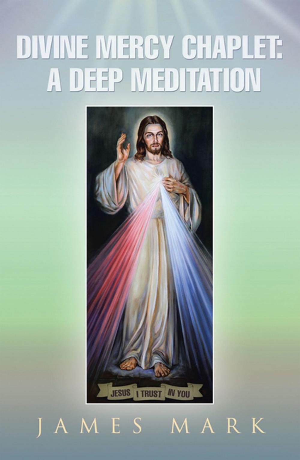 Big bigCover of The Divine Mercy Chaplet