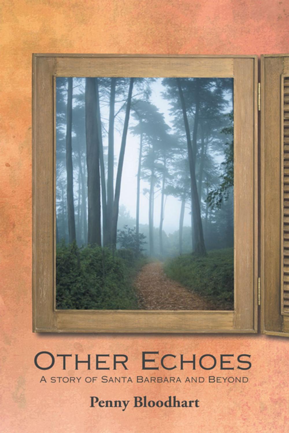 Big bigCover of Other Echoes